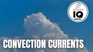 Weather IQ: Convection currents
