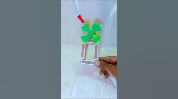 DC motor idea|| table fan || DC motor project || science project || #experiment #diy #dcmotor