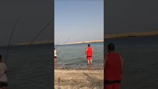 لن انسي هذا من الذاكره وحش البراكودا من علي الشاطئ🎣#fishing #egypt #fyp
