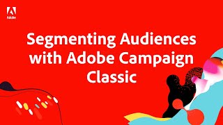 Here's How to Segment Audiences for Personalized Campaigns Within Adobe Campaign Classic