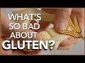 Is Gluten that bad for your health? | The Science