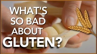 Is Gluten that bad for your health? | The Science screenshot 5