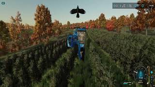 Farming Simulator 22 - Premium Expansion - Zielonka - Part 43