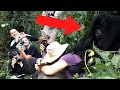 Friendly Wild Animal Encounters Caught On Camera