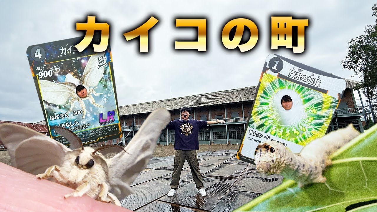 カイコの町「富岡市」でカイコ巡りをしてきました