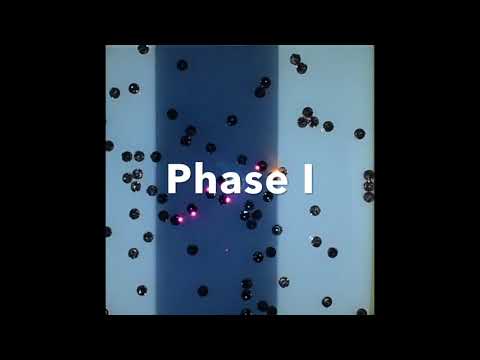 Adaptive Path Formation in Self-Assembling Robot Swarms by Tree-like Vascular Morphogenesis