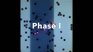 Adaptive Path Formation in Self-Assembling Robot Swarms by Tree-like Vascular Morphogenesis