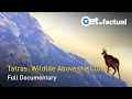 The Tatra Mountains - Life on the Edge | Full Documentary Episode 2