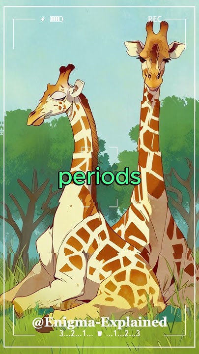 How long do giraffes sleep each night? #giraffe #animals #sleep #