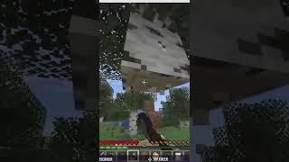 First Hardcore Minecraft Subtle Foreshadowing #minecraft #subtleforeshadowing #gaming