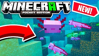 How To Get The AXOLOTL in Minecraft PE! | 1.17 Early Update! (MCPE/Win10/Xbox/PS4/Switch) screenshot 1