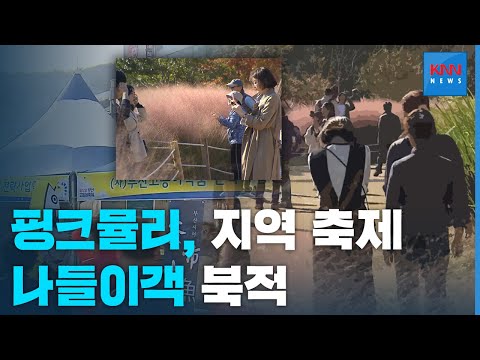핑크빛으로 물든 가을...지역 축제도 인기 가득