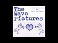 Capture de la vidéo The Wave Pictures ‎- Now You Are Pregnant