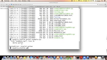 METR1313 - Week 12 - Segment 7: Diagnosing CGI Script Errors