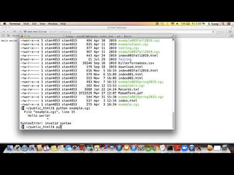 METR1313 - Week 12 - Segment 7: Diagnosing CGI Script Errors