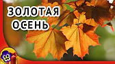 Поздравления & Позитив