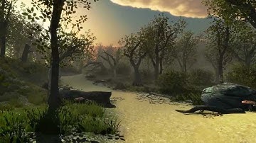 Brush Wood Vegetation 3d Model Pack