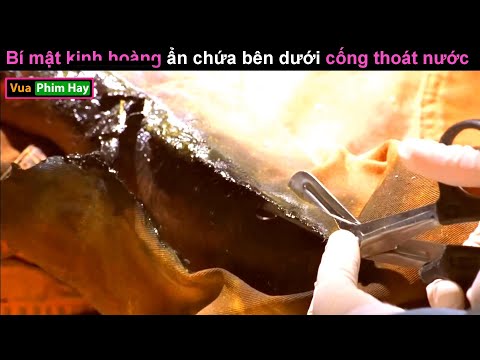 Ẩn Sâu bên Dưới Cống Thoát Nước có gì ? – Review phim Núii Lửa 2023 mới nhất