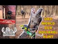 2022 ukc world cur squirrel hunt bench show and walker days