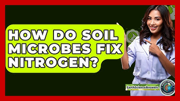 How Do Soil Microbes Fix Nitrogen? - Earth Science Answers