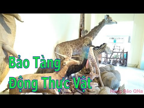 Bảo Tàng Động Thực Vật Thảo Cầm Viên Sài Gòn • Tập 2 | Hùng Bảo QNa.