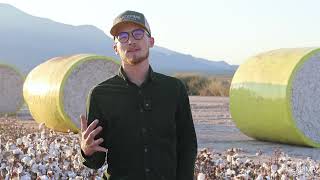 Discovering Pima Cotton With Mexpima, Quality Cotton From Chihuahua, Mexico Rancho El Mezquite