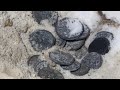 الزعيم يسحب المال من باطن الارض طريق البخور المادة الزعيم يسحب المال من باطن الارض طريق البخور المادة