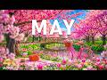 May Serenity 4K Healing Spring 2026 Garden Blooms Quiet Paths Gentle Sunlight 