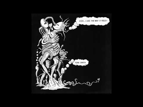 Toni Smith — Toni Smith - (Ooh) I Like the Way It Feels