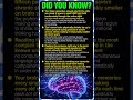 Your Brain is Doing Something Incredible Right No