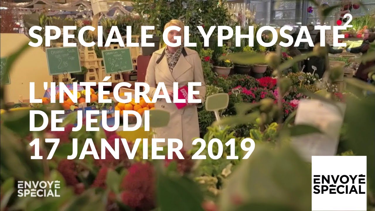 Envoyé spécial. Glyphosate : comment s'en sortir ? - 17 janvier 2019 (France 2) - Envoyé Spécial