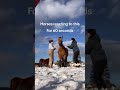 Mischievous US Horses Crack Up Everyone On The Ranch 🤣#WesternHumorHorses #USFarmHorseFun
