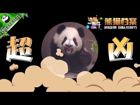 【Panda Scanning】Ep11 The Internationalised Ya Zhu!  20170721 | iPanda