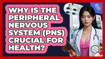 Why Is The Peripheral Nervous System (PNS) Crucial For Health? - The Operating Table