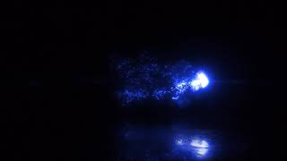 Blue fire intro effects /No Copyright video/download now