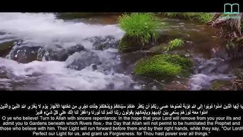 سورة التحريم - ياسر الدوسري - مترجم | Surah At Tahrim - Yasser Aldosari - English subtitles