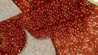 Excerpt from VJ Mix for The Drake Hotel - Video by Carrie Gates with Sound by CMD