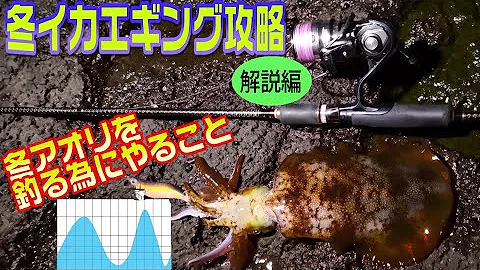 تحميل 冬イカ攻略