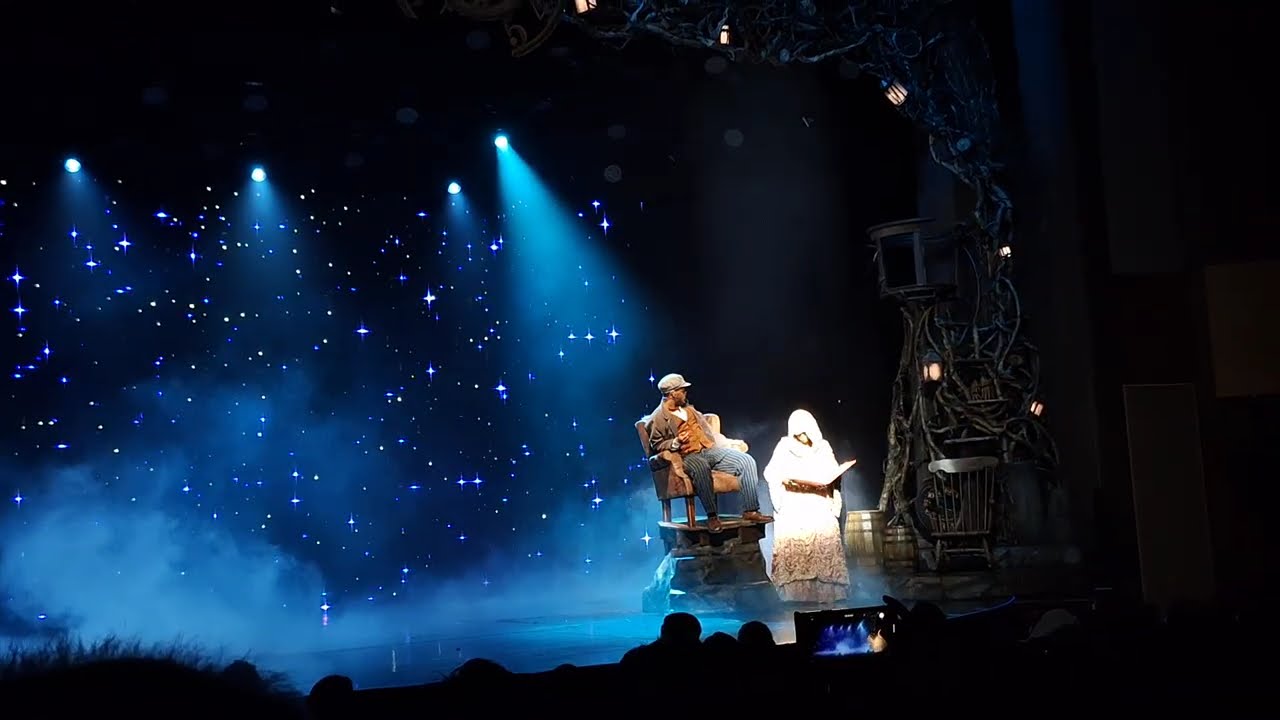 Live show at caribbean cruise ship tour