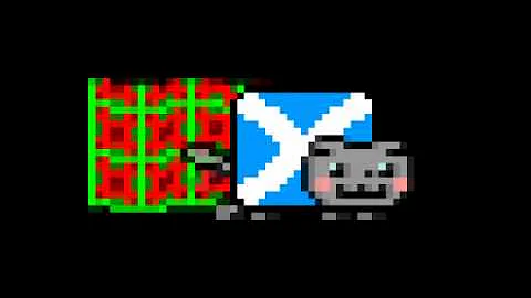 Video 10933031: scottish fold, cat scottish