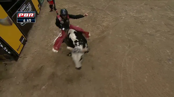 Justin Lloyd rides Finning Lil Shorty for 81 points