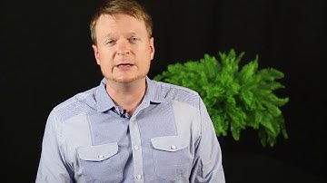 Chargebacks vs Refund - Fintech Fraud and a Fern