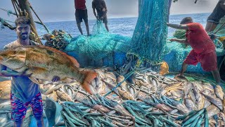 Amazing🤩Pamban Trawler Fishing | Tons Of King Mackerel And Emperor Fish🐟Caught | Breakfast: Fish Fry