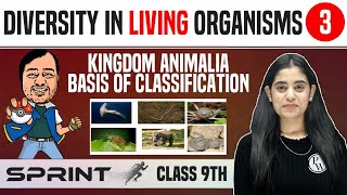 Diversity in Living Organisms 03 | Kingdom Animalia - Basis of Classification | Class 9 | NCERT