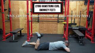 Lying Hamstring Curl (monkey foot)