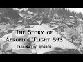 The Story of Aeroflot Flight 593 | Fascinating Horror