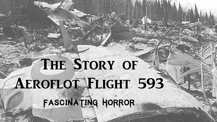The Story of Aeroflot Flight 593 | A Short Documentary | Fascinating Horror - DayDayNews