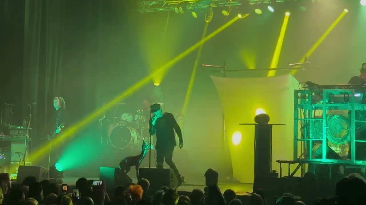 Skinny Puppy