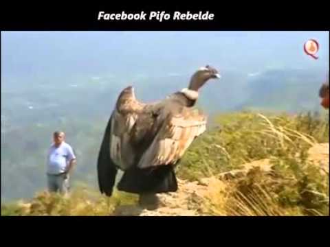 მაგარიააააააააა!!!!!!!!!