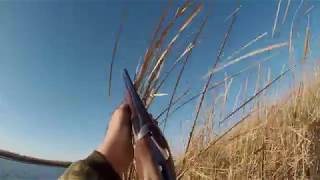 Охота на утку. Западный Казахстан
